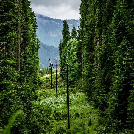 Gluexplatzl Appartements Am Wald Sankt Martin am Tennengebirge Exteriör bild