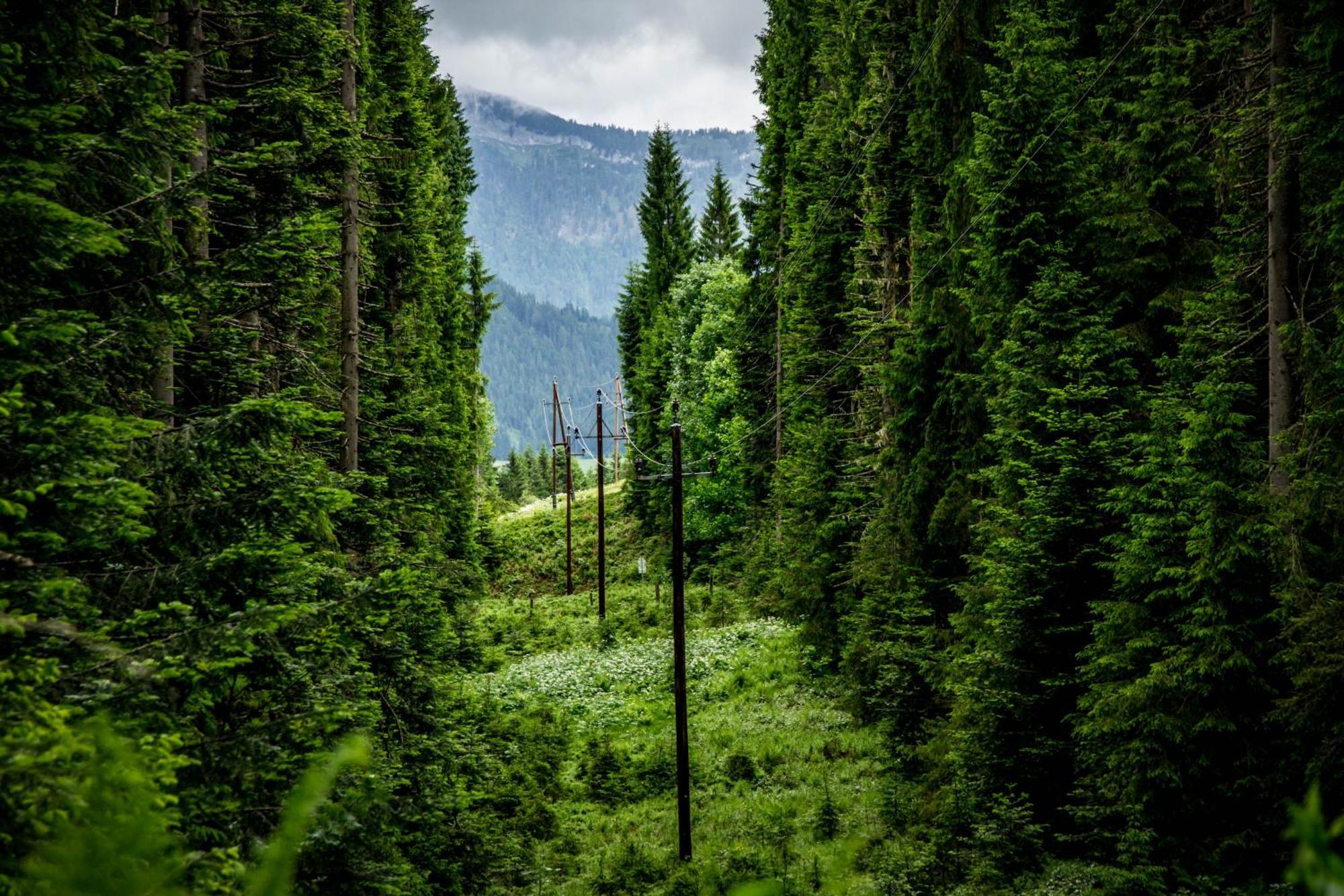 Gluexplatzl Appartements Am Wald Sankt Martin am Tennengebirge Exteriör bild